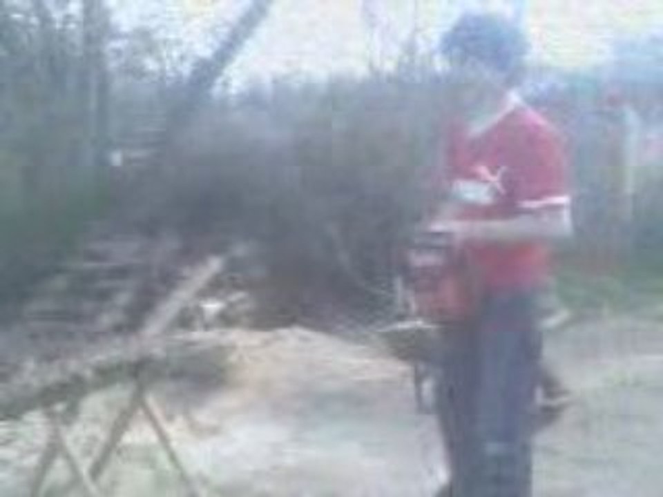 Brice a la tronconeuse