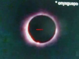 Why do people laugh at creationists? (Part 2)