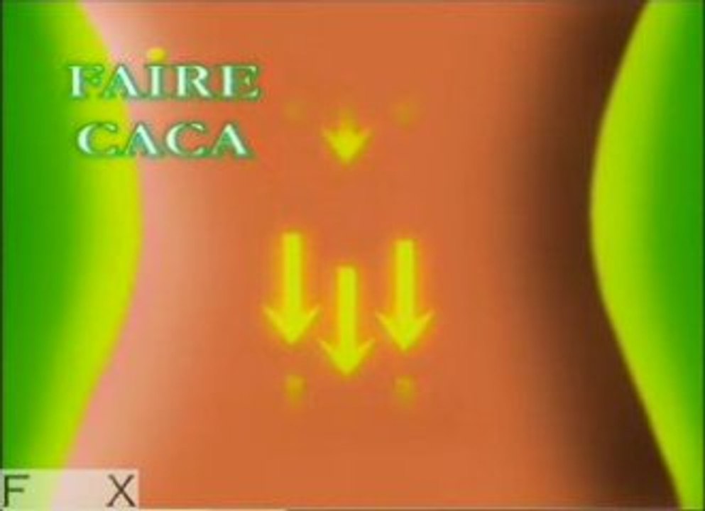 Kad & Olivier-Samedi soir en direct-Faire caca