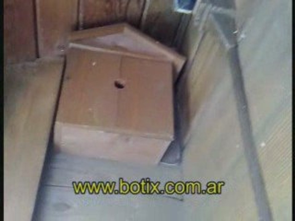 http://sinaves.com.ar Ahuyenta pajaros Disney Orlando