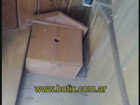 sinaves.com.ar Ahuyenta pajaros Disney Orlando