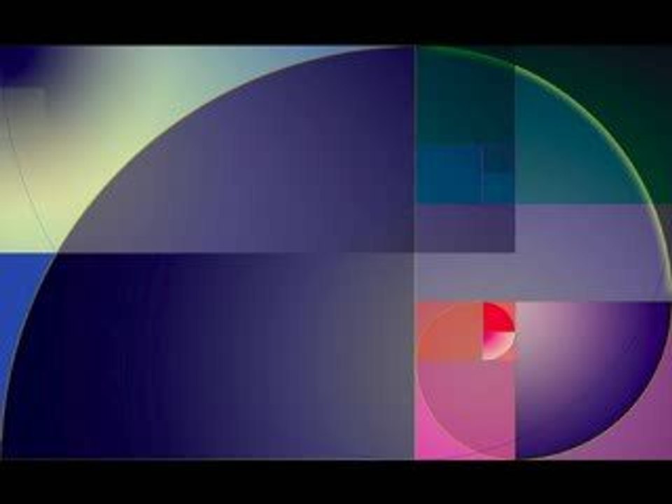 Tribute to Fibonacci