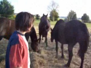 Le cours de sexualité de Chloé