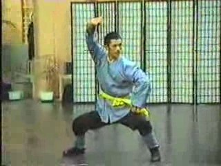 Tombei chuan taolu (shaolin)
