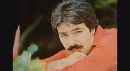 ferdi tayfur - unutmak istiyorum