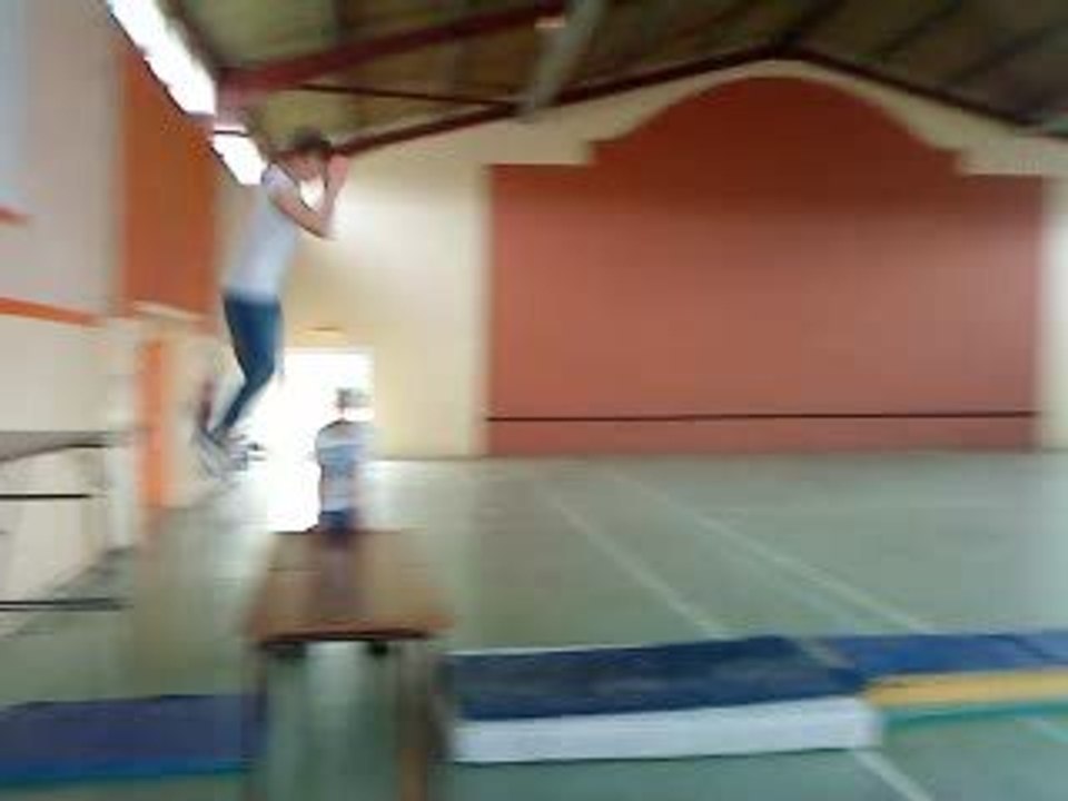 alexander salto styler