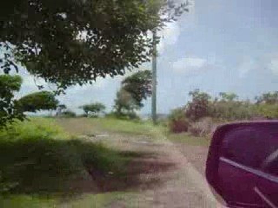 Land in Belle isle (Grenada) 2