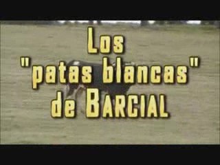 Los patas blancas de Barcial