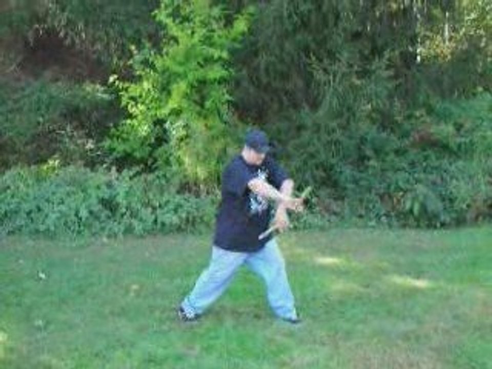 Steve's Freestyle # 7
