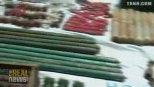 Sri Lanka: Tigers caged by government forces