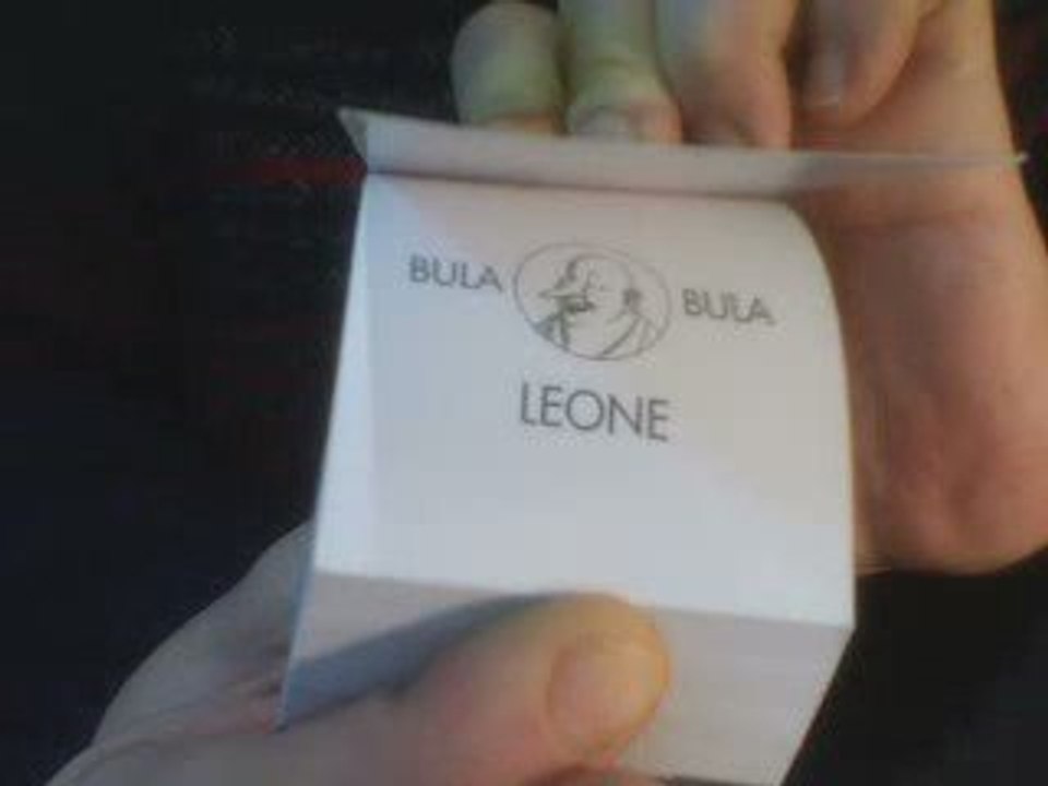 Flip Book : LION