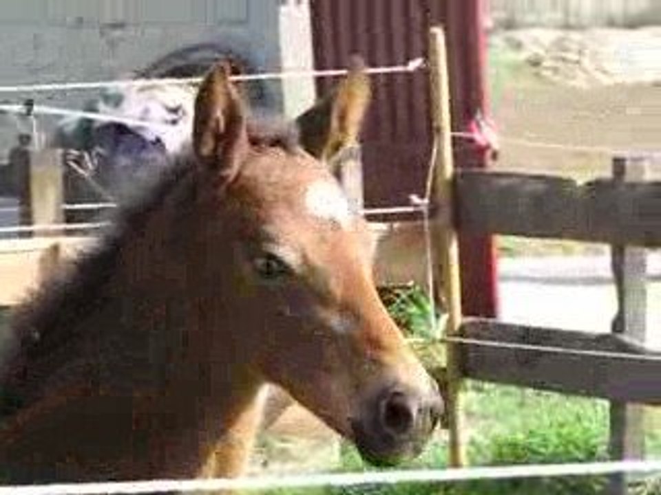 Viavaï des Moulières le 18 mars 2009