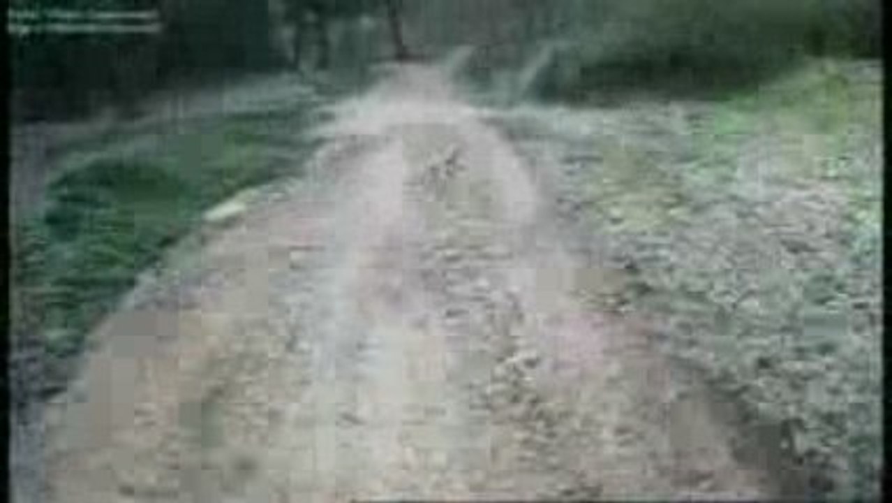 M4V06653