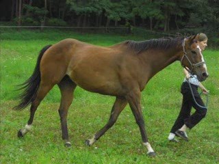 Juin a Novembre Sicos