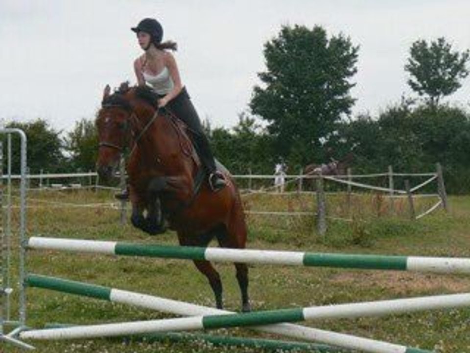 29-juiin-2008