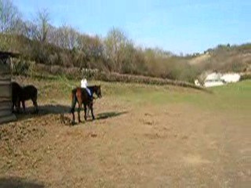 DSCN2994