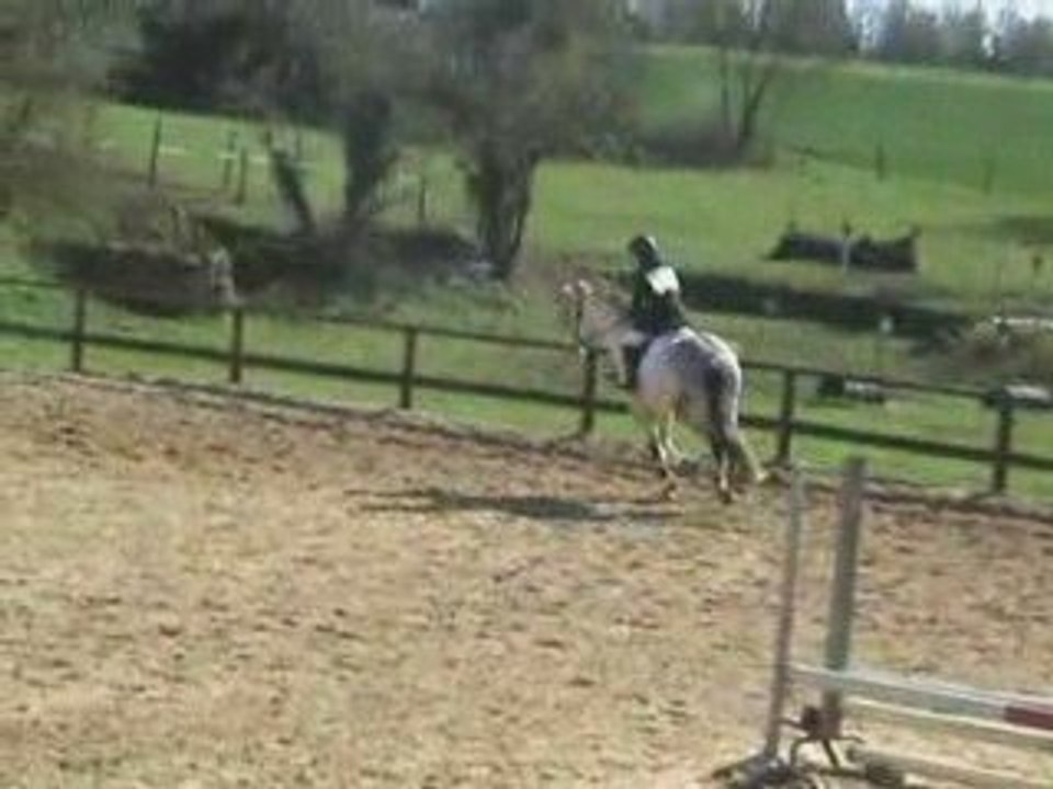 Melle appoline et passtout