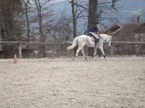 Moi ,toi ,il , elle , nous , vous , ils , elles , eux 011