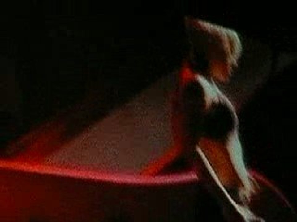 Concert pink bercy 2009