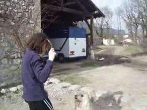 Moi ,toi ,il , elle , nous , vous , ils , elles , eux 025