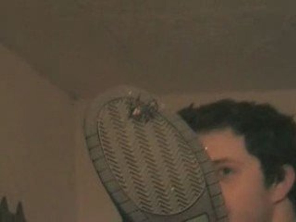 Araignée au plafond