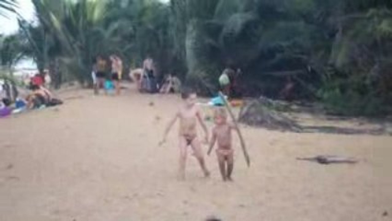 plage 2