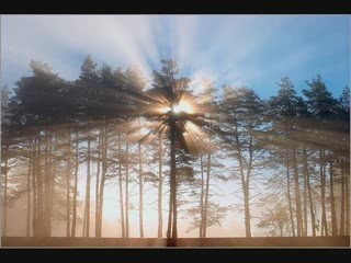 Sur la crise de conscience partie 1