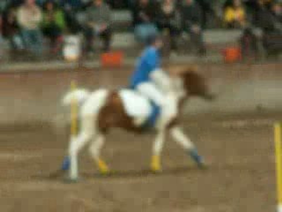 PICT0061
