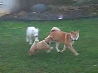 Chiara & Dinka 07-03-2009