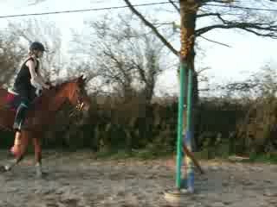 DSCF3386