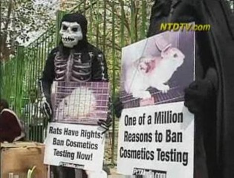 Animal Rights Activists Protest in India