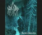 Dark Forest - Aurora Borealis