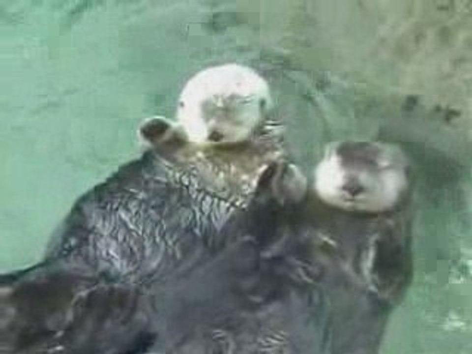 Bain d'Amour
