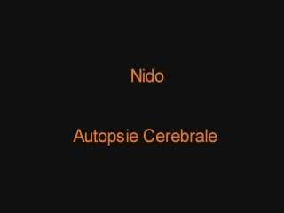 Nido - Autopsie Cerebrale