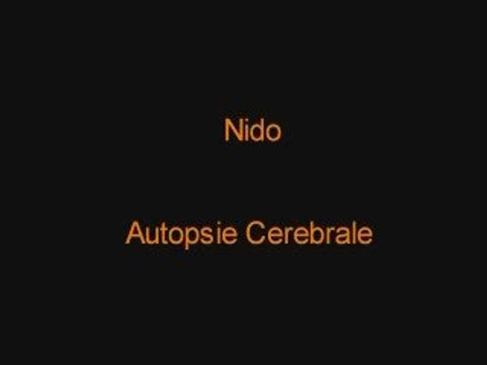 Nido - Autopsie Cerebrale