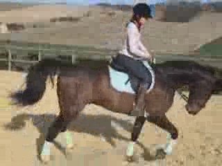 Philou au boulot montage 19/03/2009