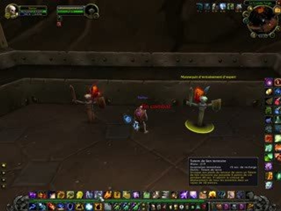 Shaman ptr 3.1 <1>