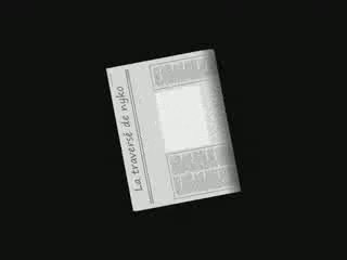 La traversé de nyko