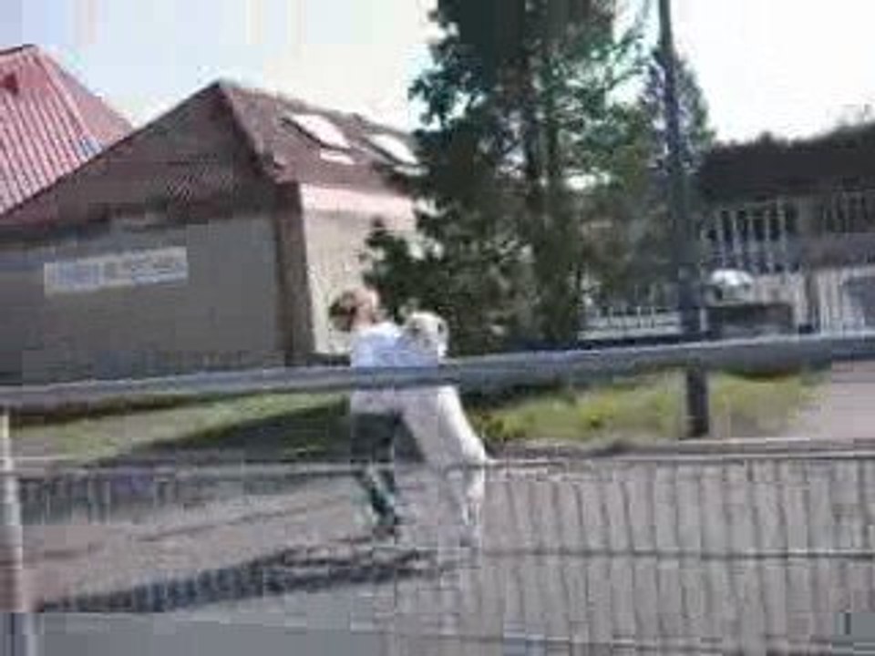 le chien de sam ki saute kelly mdrr