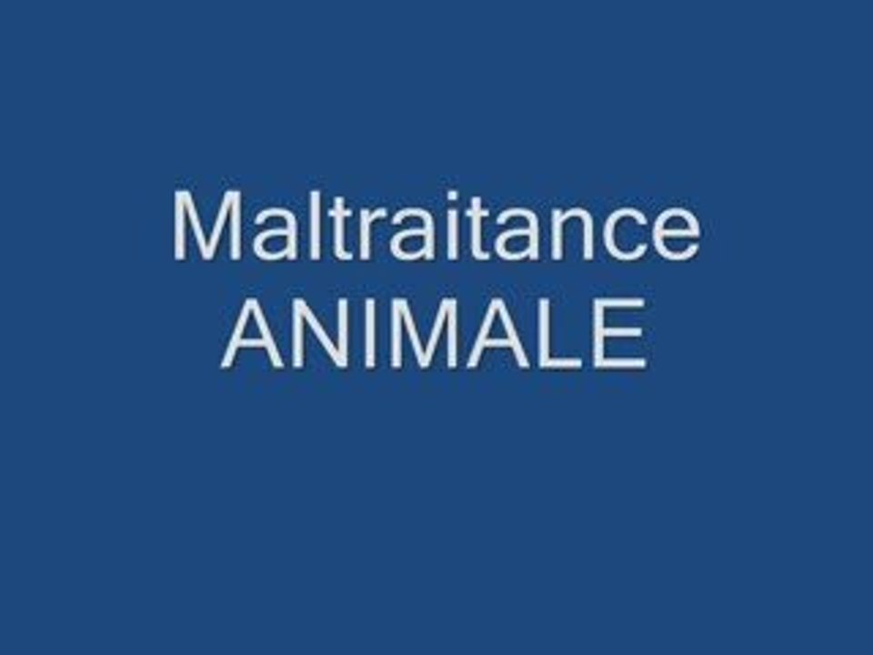 Maltraitance animal