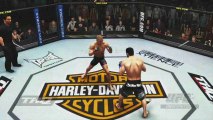 UFC 2009 Undisputed (Kickboxing)