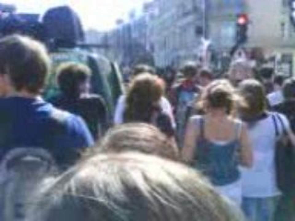 Manif 19 Mars 2009 Rennes Partie 2