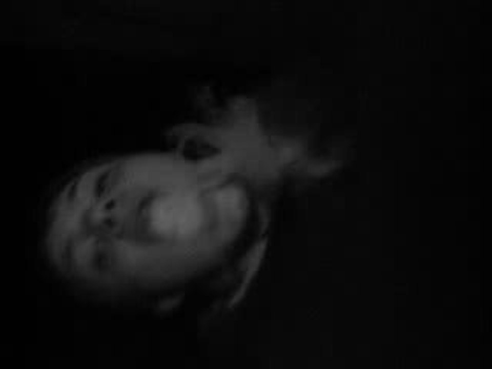 MOV00231