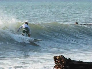 Pavones - COSTA RICA