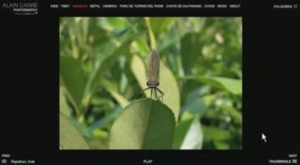 DarQroom : demo galeries photo