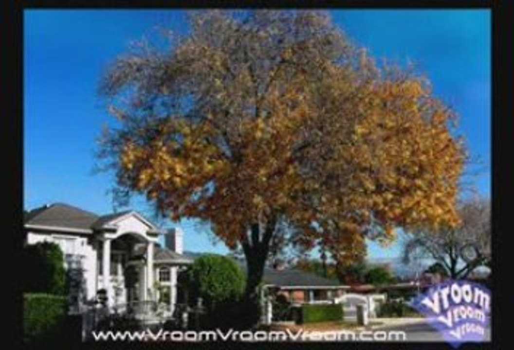 Arcadia City, CA - Travel Guide