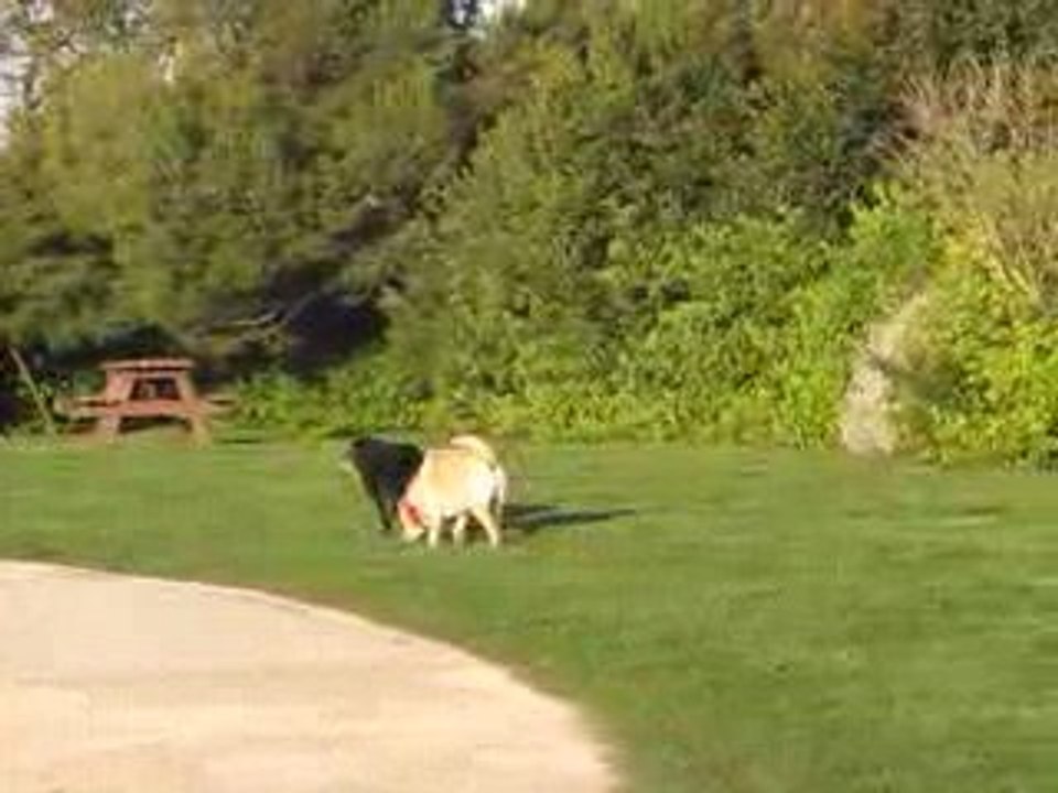 Lallie, rencontre aux Minimes, 17 mars 2009