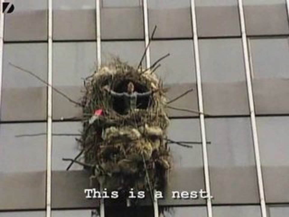 Man Builds Nest On Building
