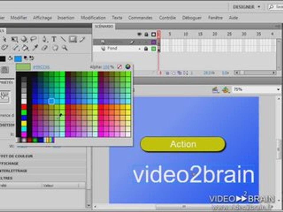 Adobe Flash CS4 : Etat invisible d'un bouton
