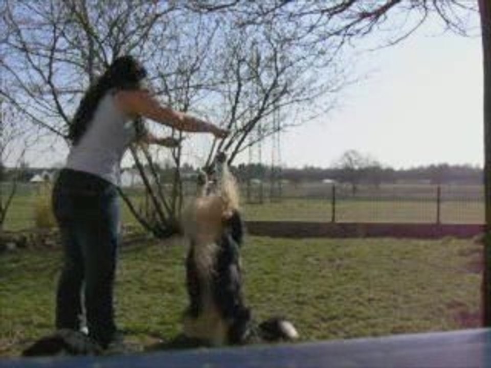 obr avec les loulous